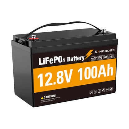 12V 100Ah LiFePO4 Battery - 8000+ Cycles Deep Cycle Lithium Battery with BMS for RV, Solar, Marine & Off-Grid-2