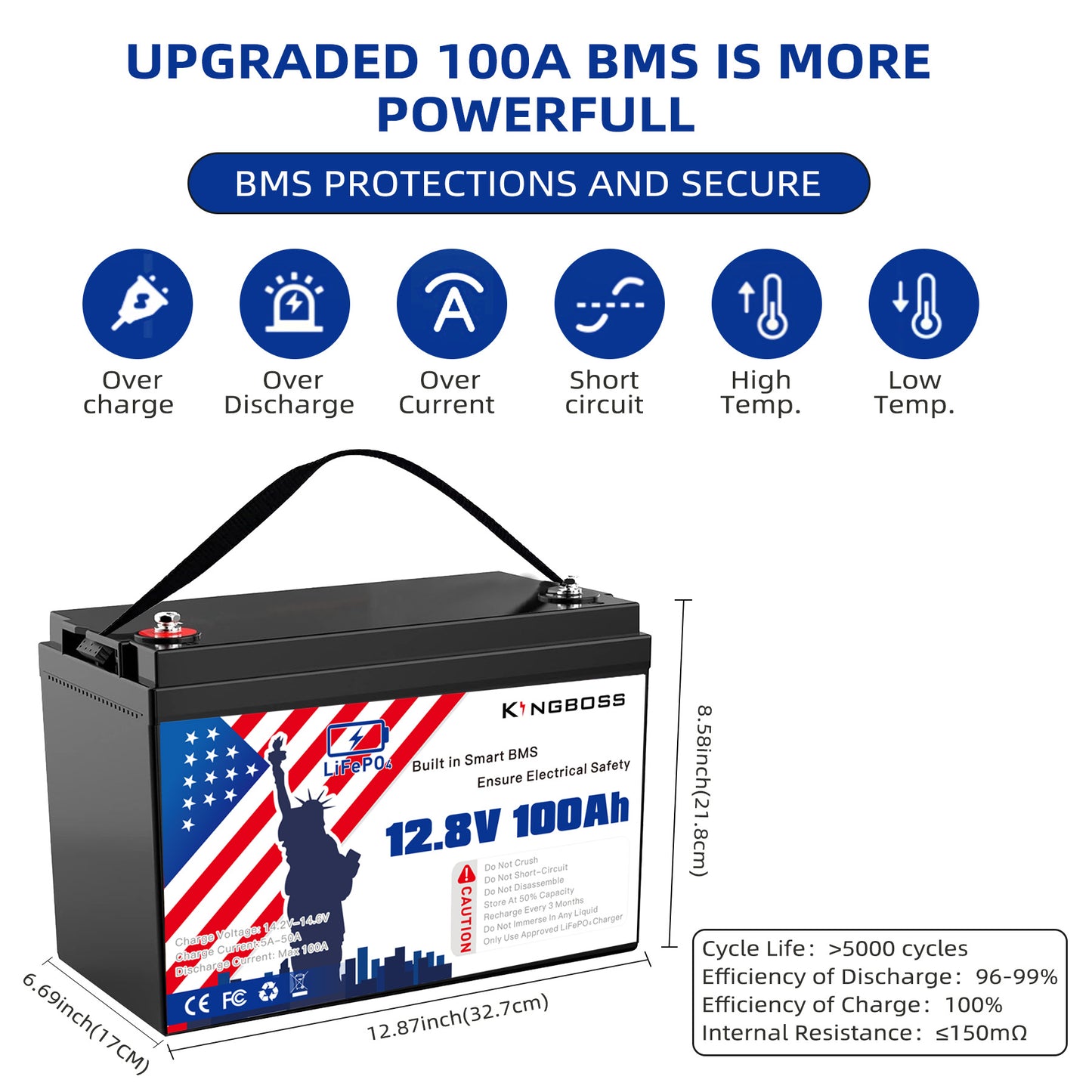 12V 100Ah LiFePO4 Battery - 8000+ Cycles, Built-in BMS for RV & Solar