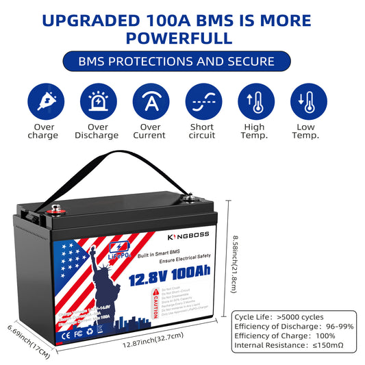 12V 100Ah LiFePO4 Battery, Built-in BMS, Long Cycle Life, for Solar, RV & Basic Off-Grid
