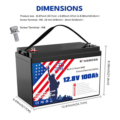 12V 100Ah LiFePO4 Battery - 8000+ Cycles, Built-in BMS for RV & Solar