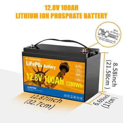 12V 100Ah LiFePO4 Battery - 8000+ Cycles Deep Cycle Lithium Battery with BMS for RV, Solar, Marine & Off-Grid-1