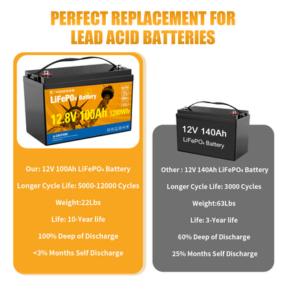 12V 100Ah LiFePO4 Battery - 8000+ Cycles Deep Cycle Lithium Battery with BMS for RV, Solar, Marine & Off-Grid-1