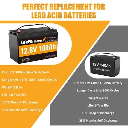 12V 100Ah LiFePO4 Battery - 8000+ Cycles Deep Cycle Lithium Battery with BMS for RV, Solar, Marine & Off-Grid-2