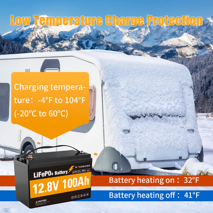 12V 100Ah LiFePO4 Battery - 8000+ Cycles Deep Cycle Lithium Battery with BMS for RV, Solar, Marine & Off-Grid-2