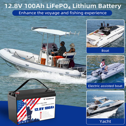 12V 100Ah LiFePO4 Battery - 8000+ Cycles, Built-in BMS for RV & Solar